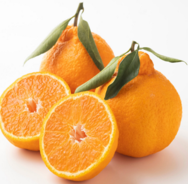 고당도 한라봉 2kg