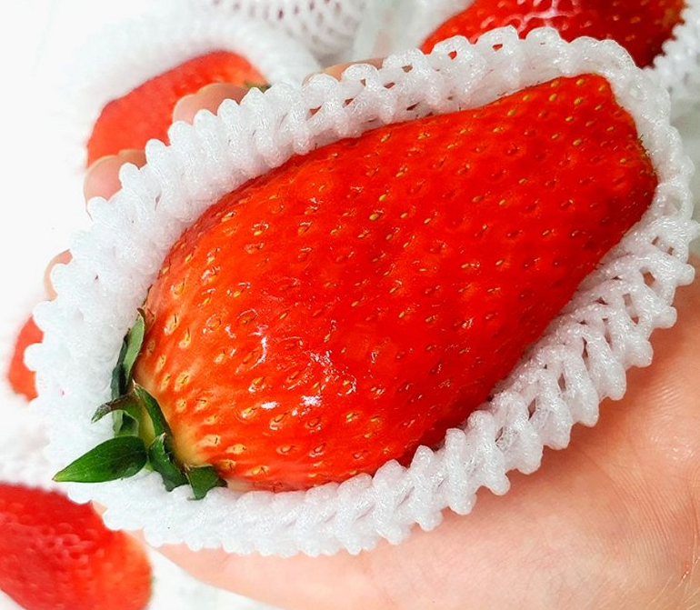 킹스베리 딸기 1팩